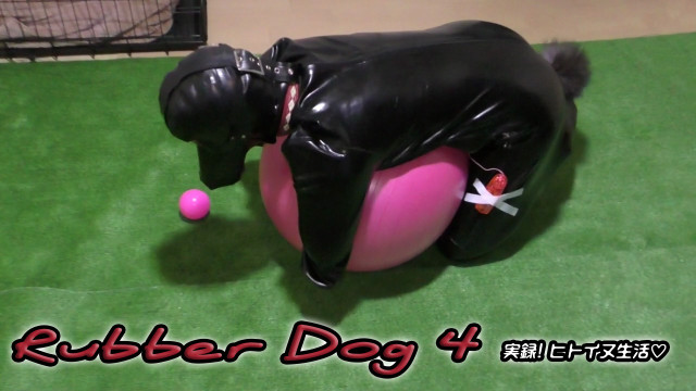 Rubber Dog4 実録！ヒトイヌ生活
