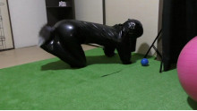 Rubber Dog4 実録！ヒトイヌ生活
