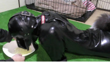 Rubber Dog4 実録！ヒトイヌ生活
