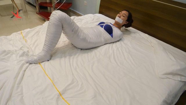 異なる材質のミイラ
