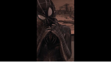 ブラックスパイダーマンはこちら

