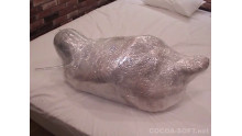 Mummification ver.002