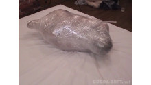 Mummification ver.002