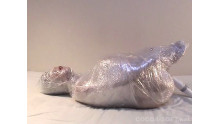 Mummification ver.006