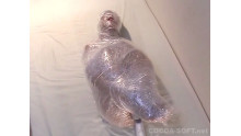 Mummification ver.006