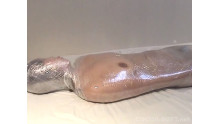 Mummification ver.006