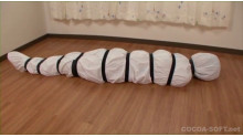 Mummification ver.012
