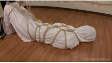 Mummification ver.012