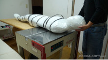 Mummification ver.016