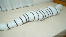 Mummification ver.016