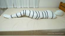 Mummification ver.016