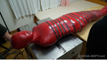 Mummification ver.018