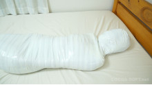 Mummification ver.020